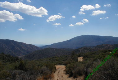 Trail View