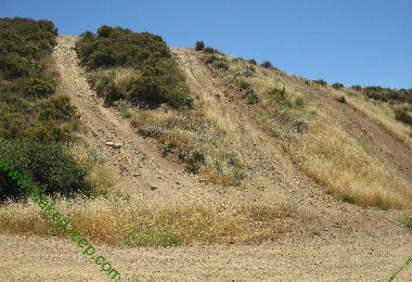 Hill Climb Challenge