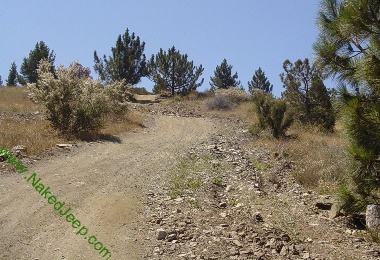 Trail near the summit