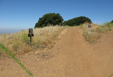 Lookout Trail Sign