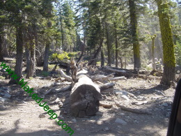 The Rubicon Trail